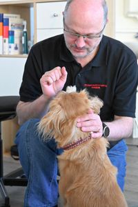 Tierhomöopath Niklaus Hager mit einem Hund in Behandlung